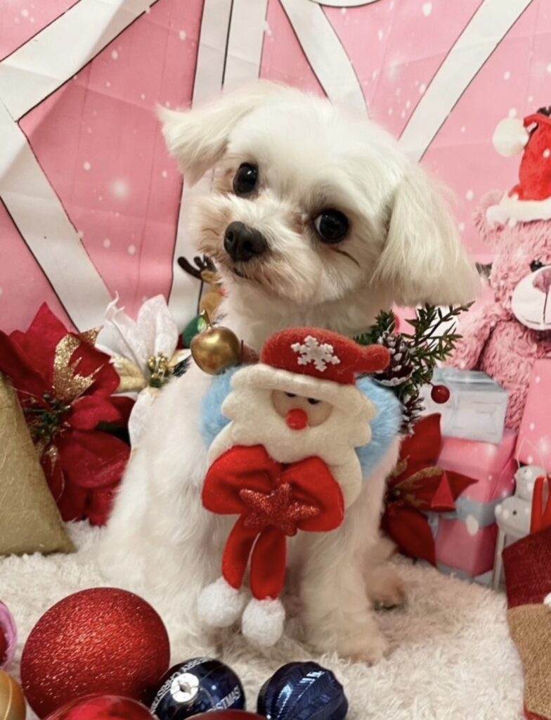 ごうの幸せ便り