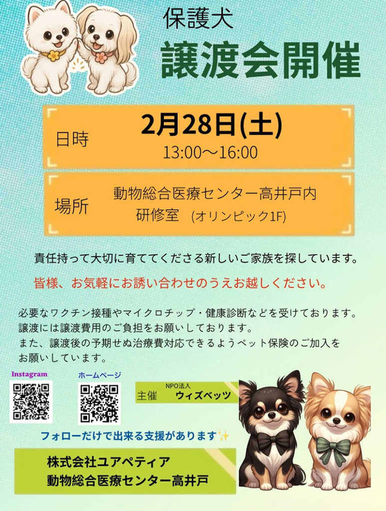 2月28日(土)高井戸で譲渡会を開催します