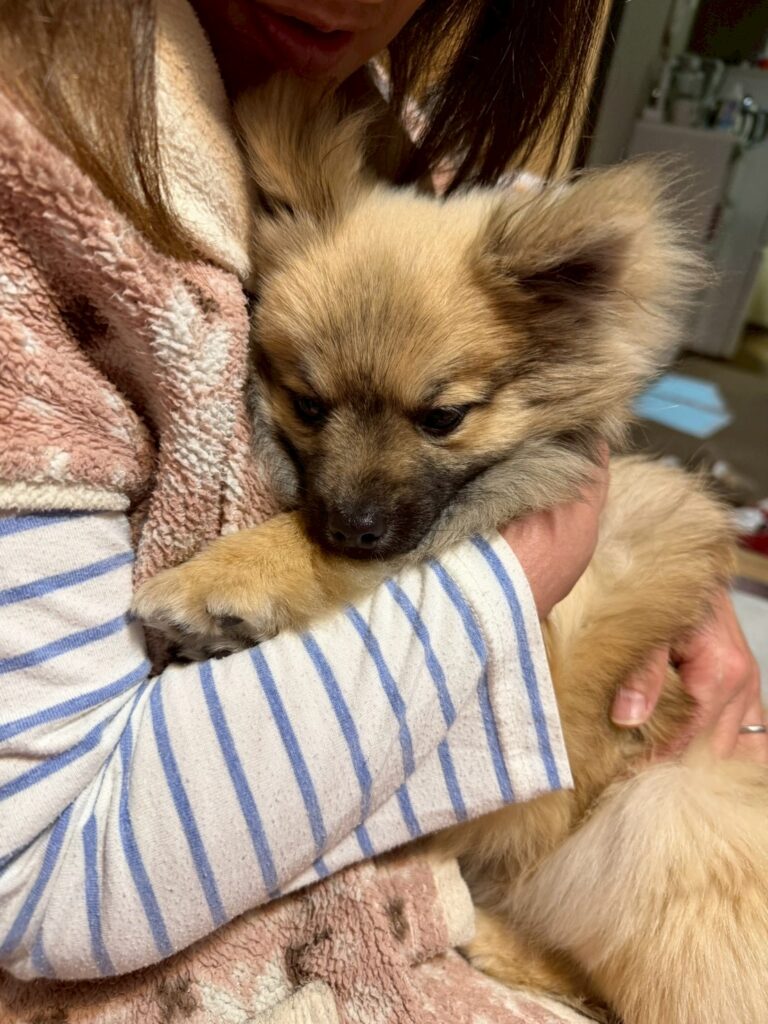 幸せ便り【凛太郎】くん